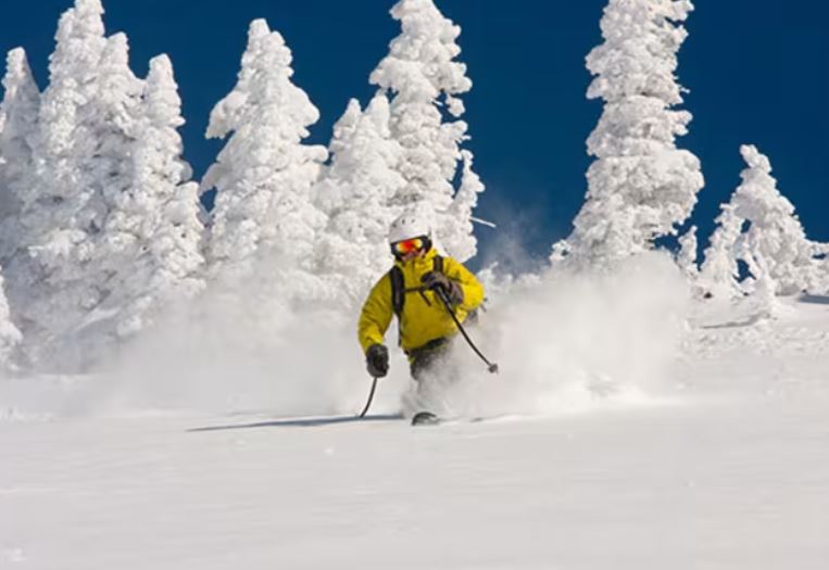 ski and snowbard image